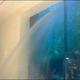 Illustration for article titled Dubais 2 Million Gallon Shark Tank Is Leaking